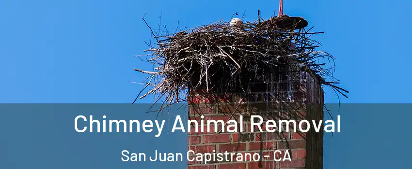  Chimney Animal Removal San Juan Capistrano - CA
