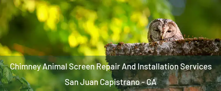  Chimney Animal Screen Repair And Installation Services San Juan Capistrano - CA