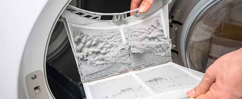 Best Dryer Lint Removal Company in San Juan Capistrano, California