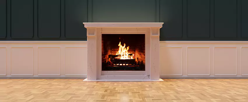 Napoleon Electric Fireplaces Inspection Service in San Juan Capistrano, California