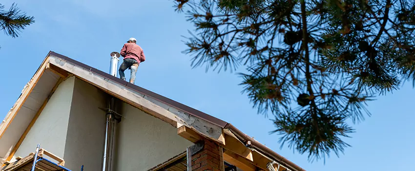 Birds Removal Contractors from Chimney in San Juan Capistrano, CA